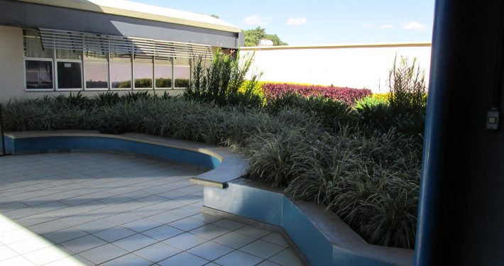 Imagem 082